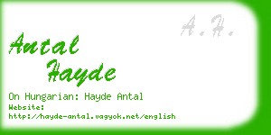 antal hayde business card